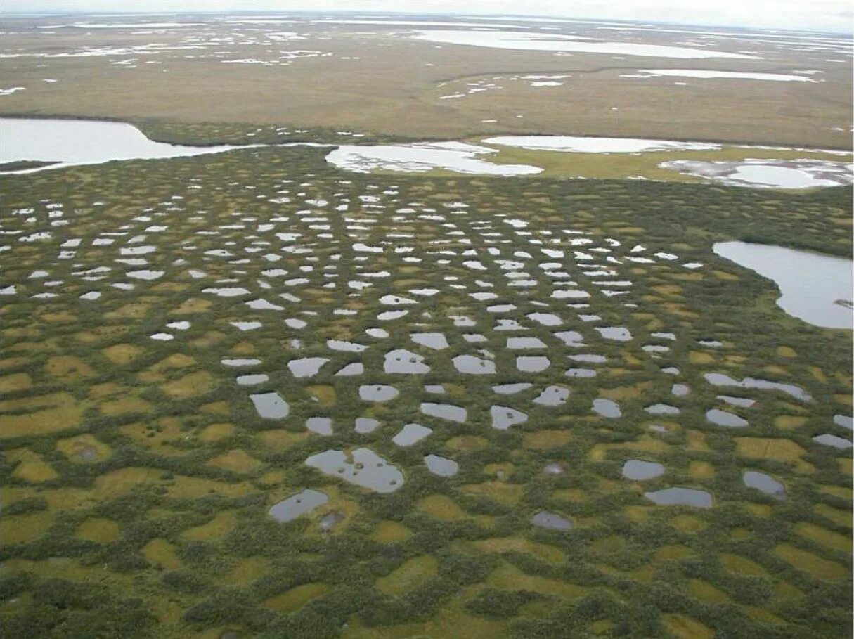 Какие воды есть в тундре