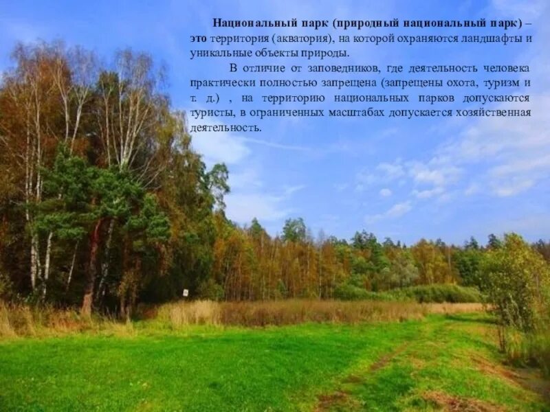 Лосиный остров застройка парка. Лосиный остров участок. Лосиный остров участок. Функциональное зонирование национального парка лосиный остров. Лосиный остров участок.