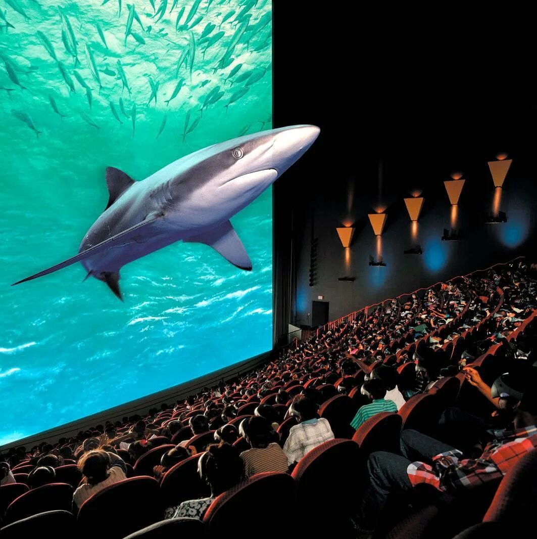 5 d формат. Аймакс 3д. 4d IMAX кинотеатр. Что такое аймакс 3д в кинотеатре. Экран IMAX 3d.