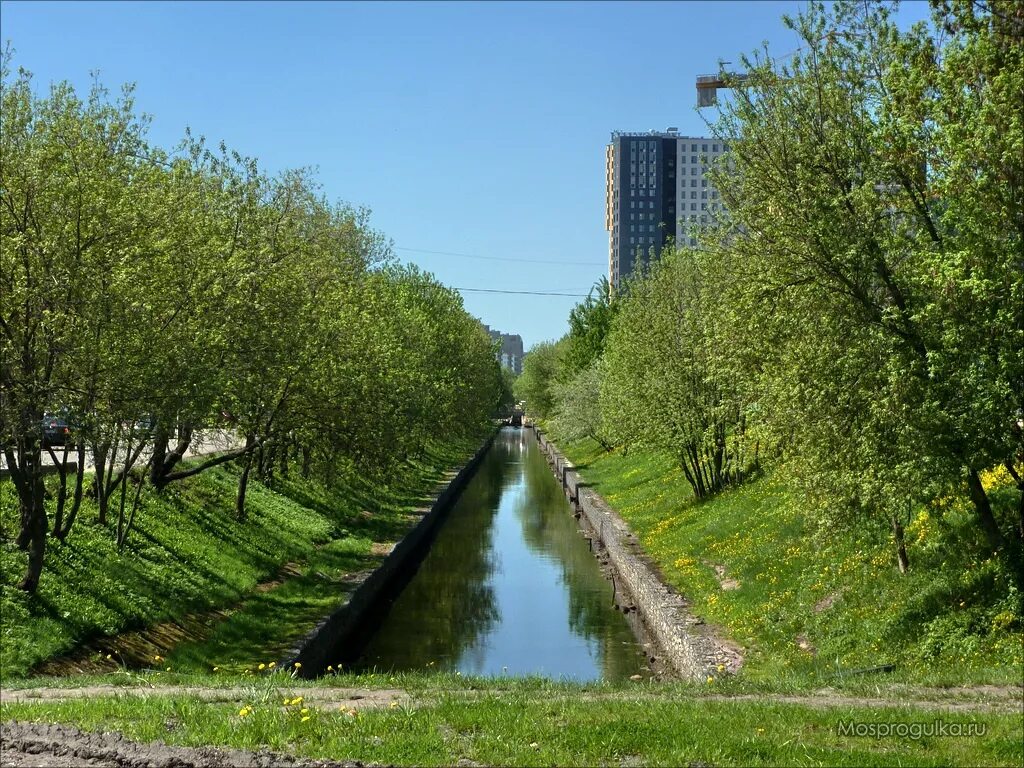 Головинский район. Невский парк Москва. Невский парк Водный стадион. Парк Невский район. Головинский канал.