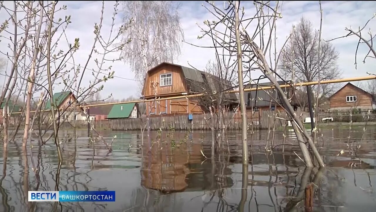 Уровень воды в казани на сегодня. Уровень реки Уфы в Шакше. Уровень воды в уфимке. Уровень воды в Республике Башкортостан. Мельничное озеро.