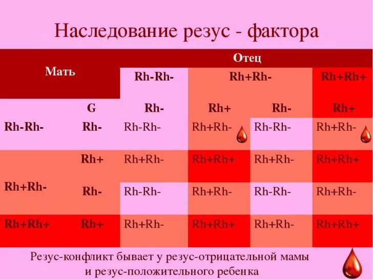 Отец первая положительная мать третья положительная дети