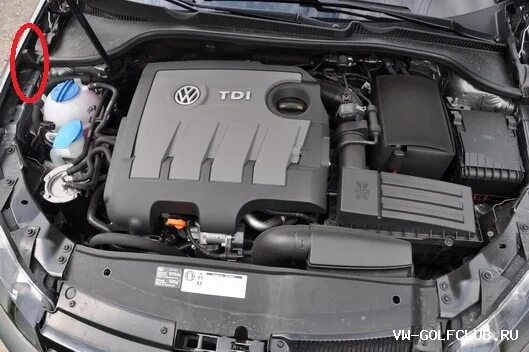 вин гольф плюс