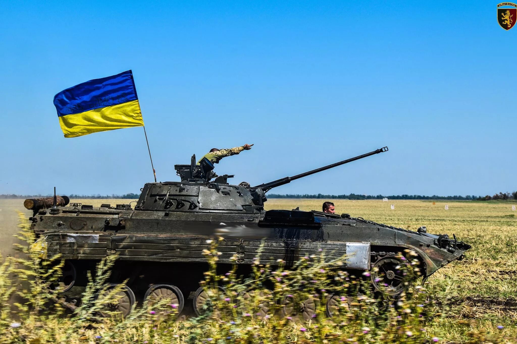 Ua сила
