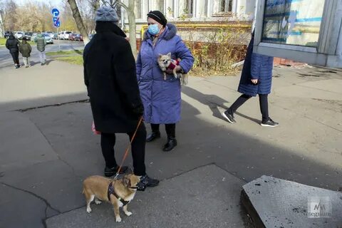 Новости люблино