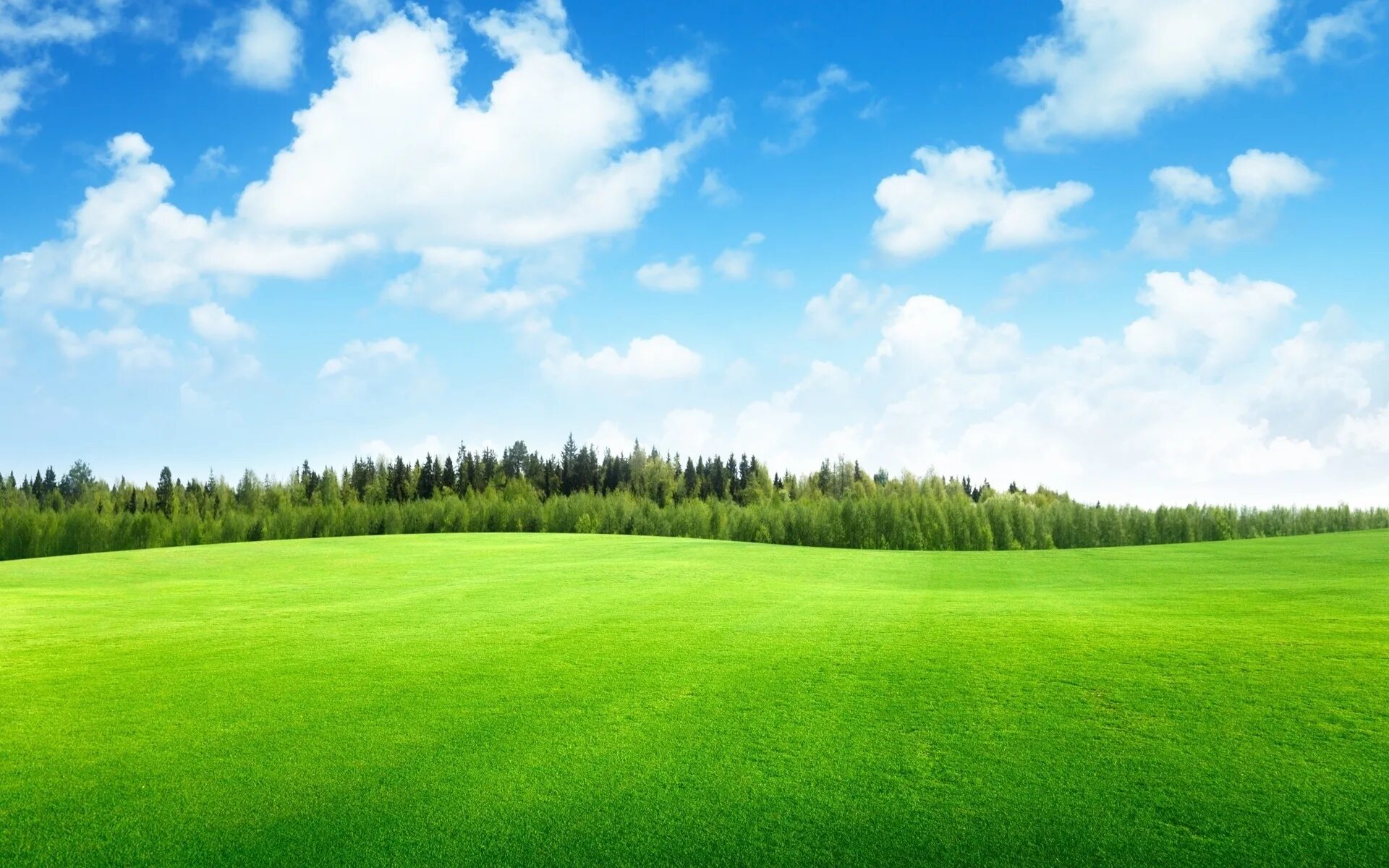 Поставь зеленое поле. Зеленое поле. Трава и небо. Зеленый пол. Поле и небо.