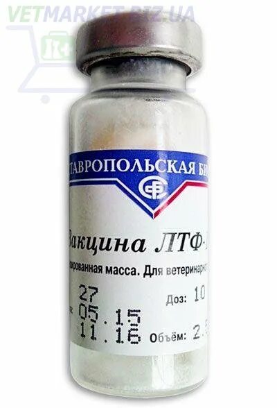 Дозировка лтф 130 крс. Вакцина лтф-130 (10 дозфл). вакцина лтф 130 ( 10 доз ). лтф 130 вакцина для крс. вакцина лтф 130 , доза.