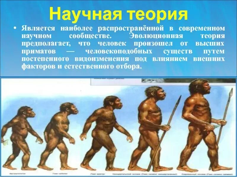 Что происходит с человеком на 9 день. Происхождение человека. Происхождение человека на земле. Возникновение человека. Появление человека.