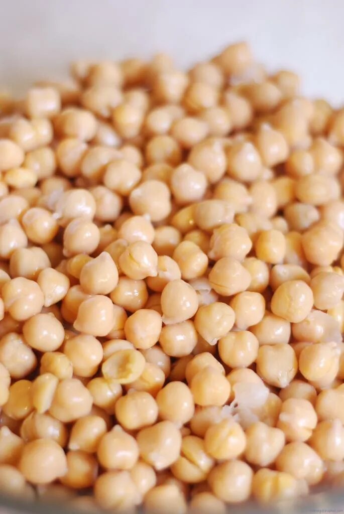 Что такое нут. Нут chickpeas. нут бобовые. бобовые культуры нут. восточный горох нут.