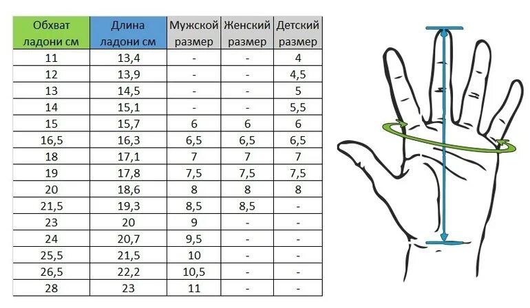 Сколько сантиметров рука. Средняя длина ладони. Размер женской ладони. Средняя длина ладони у мужчин. Размер обхват ладони.