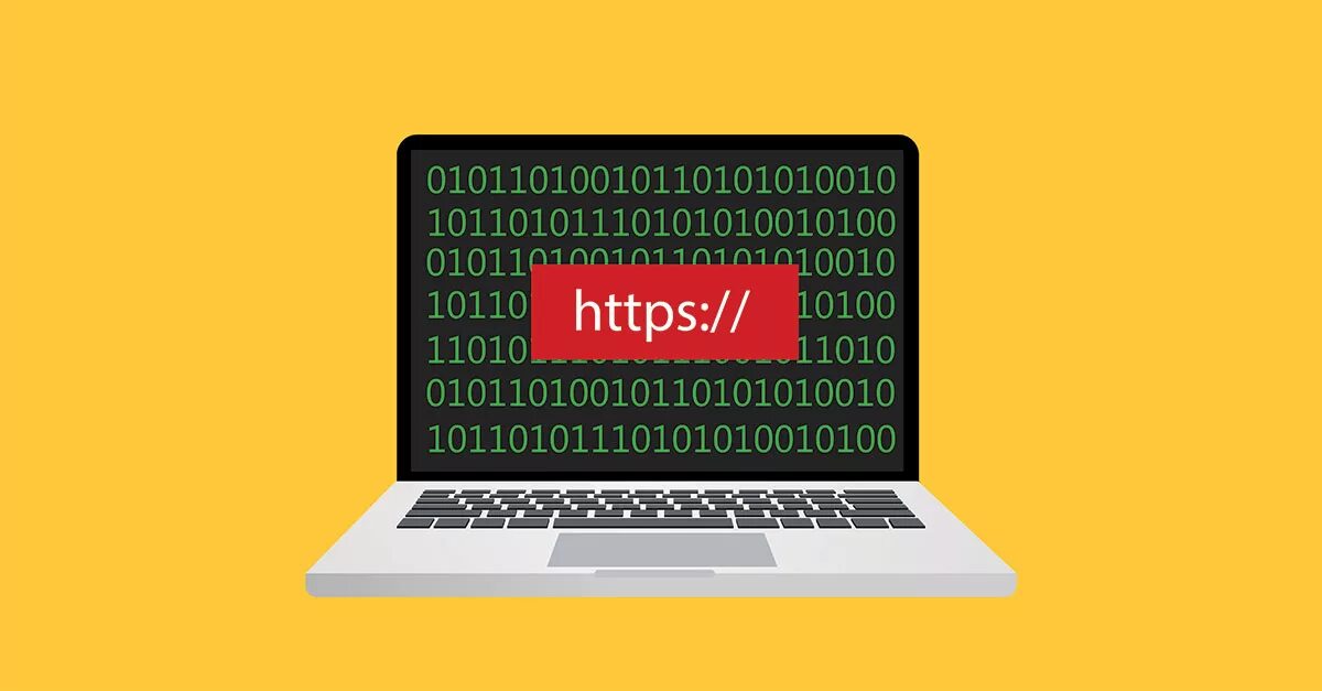 Brute force attack. Брутфорс атака. tsl ssl brute-force атака. brute force btc wallets.