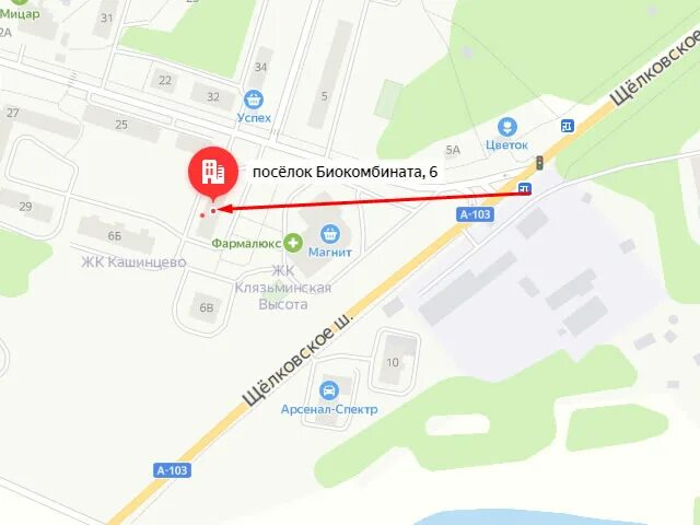 ДК Биокомбинат. Поселок Биокомбинат. Поселок Биокомбината Московская область. Аптека пос Биокомбинат. Биокомбината чкаловская