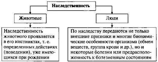 Наследственные признаки передают. Какие биологические признаки наследует человек. Какие наследственные признаки наследует человек. Что такое наследственность какие биологические. Наследственные биологические признаки.