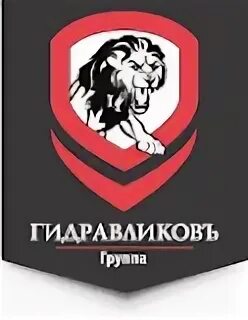 Гидравлик групп. Гидравлическая группа для двухконтурных котлов бакси. Baxi eco four 24 гидравлический блок. Skf seal jet dd 010. Гидравлическая группа прямой подачи 711033600.