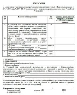 Декларация социально ориентированных некоммерческих организаций