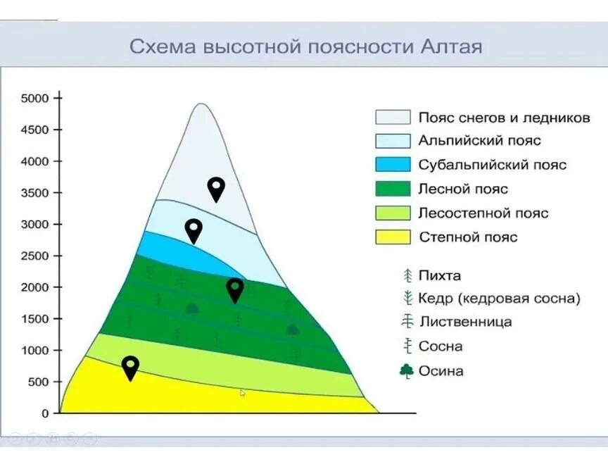 Природные зоны кавказа таблица. Высотная поясность в горах Алтая. Схема ВЫСОТНОЙ поясности гор Алтая. Схема ВЫСОТНОЙ поясности в горах Алтая. Пояс гор Южной Сибири Высотная поясность.