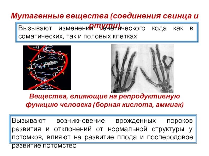 Какие вещества влияющие на репродуктивную функцию. Мутагенные вещества вызывают. влияние мутагенных веществ на организм. вещества, влияющие на репродуктивную функцию, вызывают. мутагенные химические вещества вызывают.