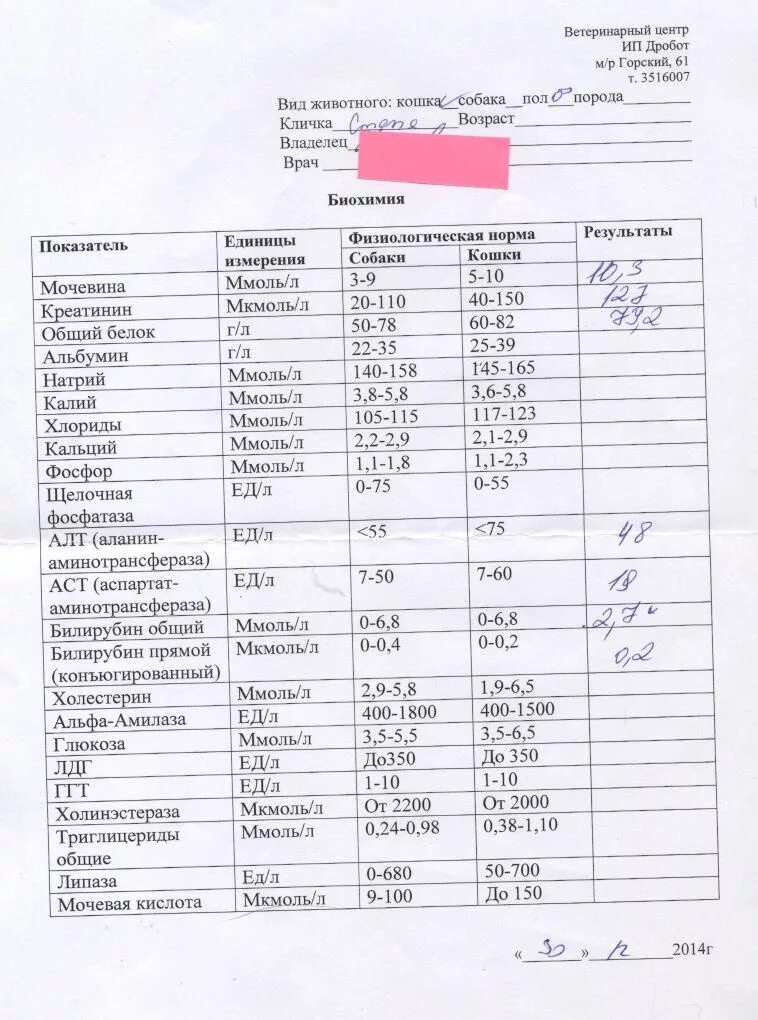 Фосфатаза биохимия. Щелочная фосфатаза анализ крови. Щелочная фосфатаза в биохимическом. Щелочная фосфатаза у собак норма. Щелочная фосфатаза норма.