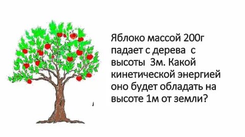 Яблоко падает с дерева
