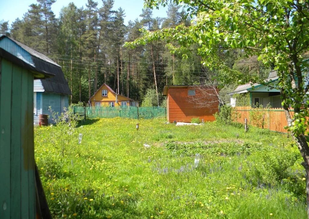 Купить снт александровские. СНТ Кунилово Александровский район. Владимирская область, Александровский р-н, СНТ Кунилово. Дача 7 соток СНТ Кунилово. СНТ Владимирская обл.