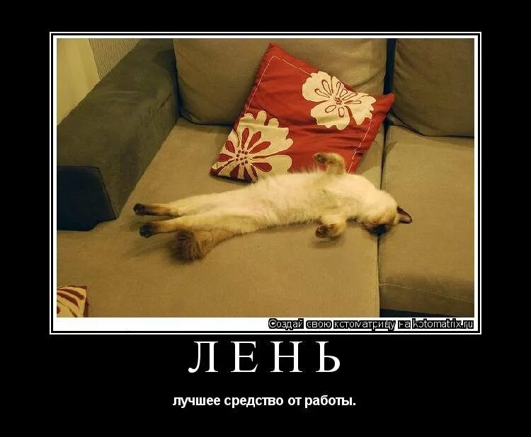 Ничему не ленись