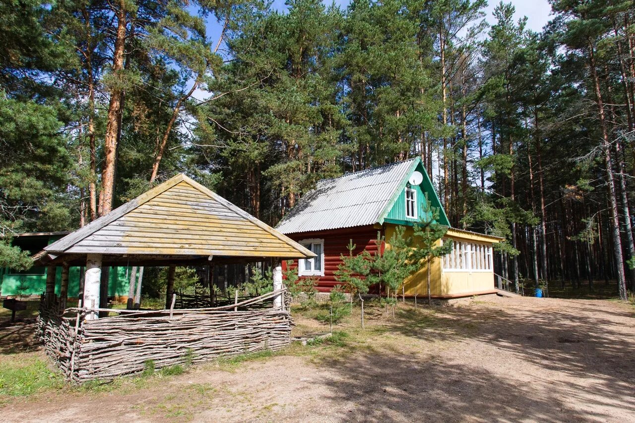 Селигер базы отдыха Чайка. Турбаза Чайка озеро Волго. Турбаза Чайка Селигер. Озеро Волго Тверская область турбаза Чайка.