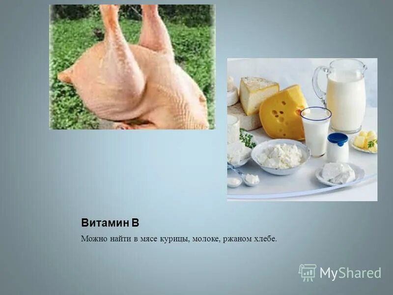 курица в молоке. курицам можно молоко. курица в кокосовом молоке. отварная курица с молоком. курица с молоком.