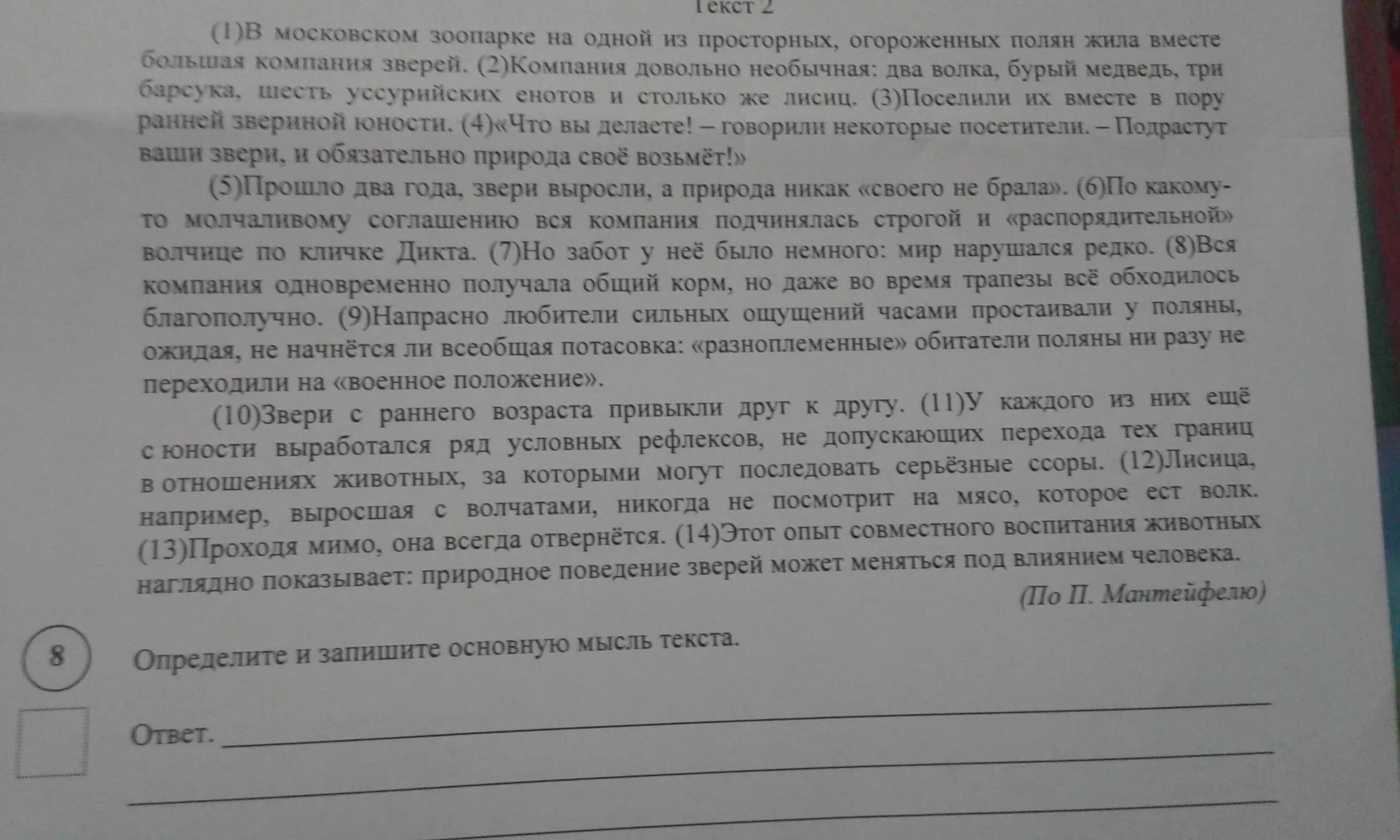 Определите основную мысль текста примерно на полпути. Определите и запишите основную мысль текста. Определить и записать основную мысль у старой сосны. Основная мысль текста 4 класс у старой сосны. Основная мысль текста Кипр.