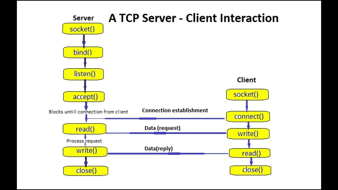 Server client program