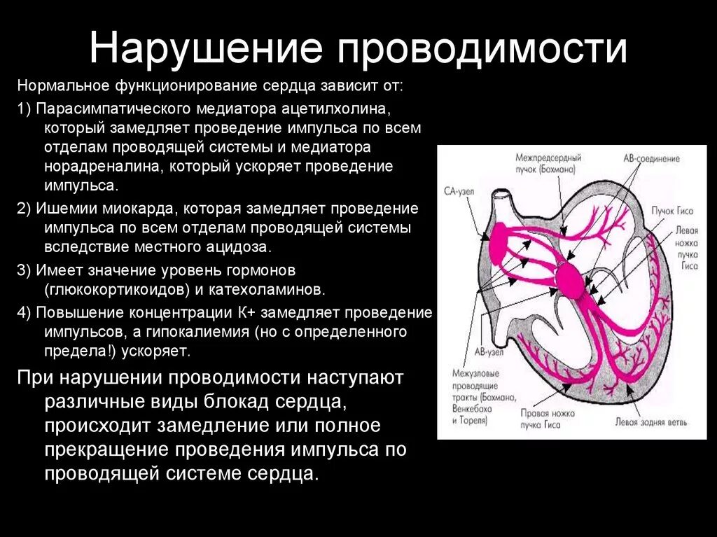 Системами блокада. Проводящая система сердца и проводимость сердца. Проводящая система сердца импульсы. Нарушение проводимости сердца. Нарушение функций проводимости сердца ЭКГ.