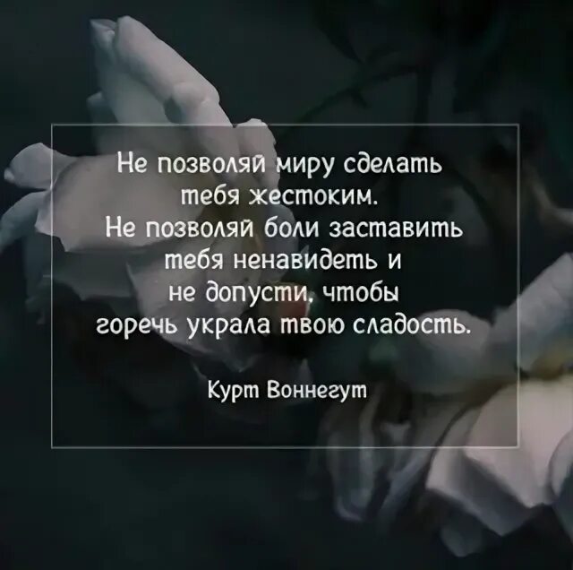 Боль заставила сильнее. Будь мягким не позволяй миру сделать тебя жестоким. Будьте мягкими не позволяйте миру. Жестокой тебя сделали люди.