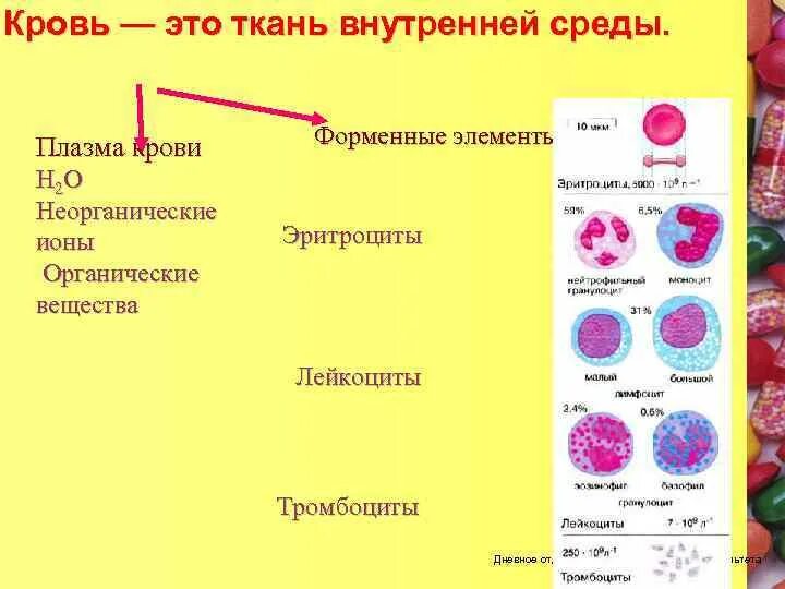 Кровь плазма и форменные элементы крови. Плазма эритроциты лейкоциты тромбоциты. Внутренняя среда кровь форменные элементы и. Схема строения форменных элементов крови. Элементы крови с ядрами