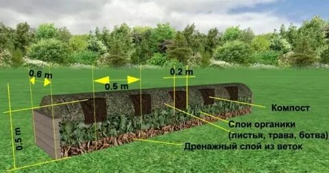 Грядки по сторонам света