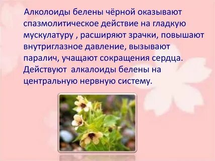 Как пишется белены