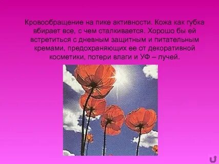 Пике активности