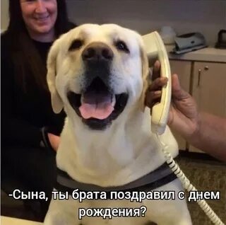 son.So Surprising: Smart dog Betty called to talk to her owner after many years of separation, making everyone not believe their eyes (video).