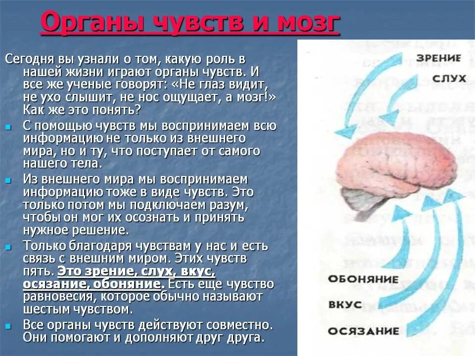 Органы чувств текст. Органы чувств. Органы чувств информация. Органы чувств презентация. Органы чувств человека кратко.