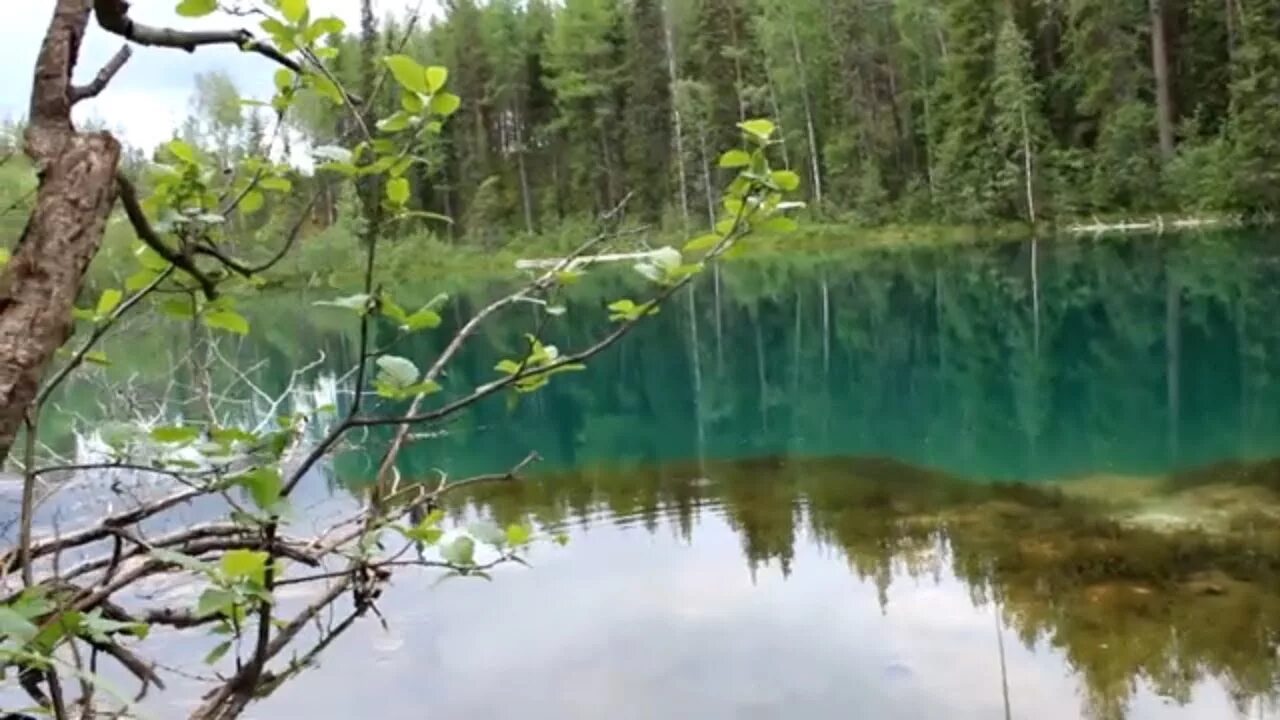 Параськины озера Ухта. Голубое озеро Параськины озера. Параськины озера Республика Коми. Параськины озера ООПТ.