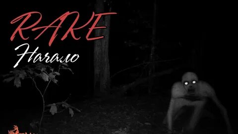 Rake перевод