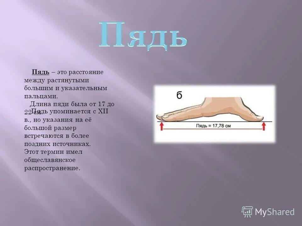 Какие плоды длиною в пядь