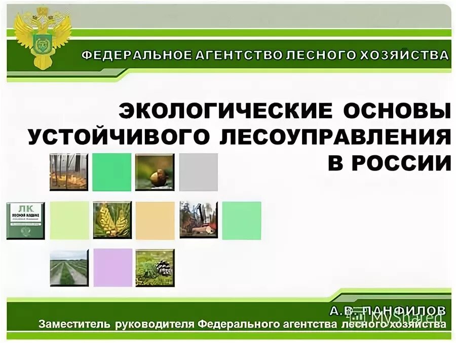 Экологические основы экономической безопасности