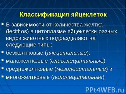 Тип яйцеклеток содержащих малое количество желтка