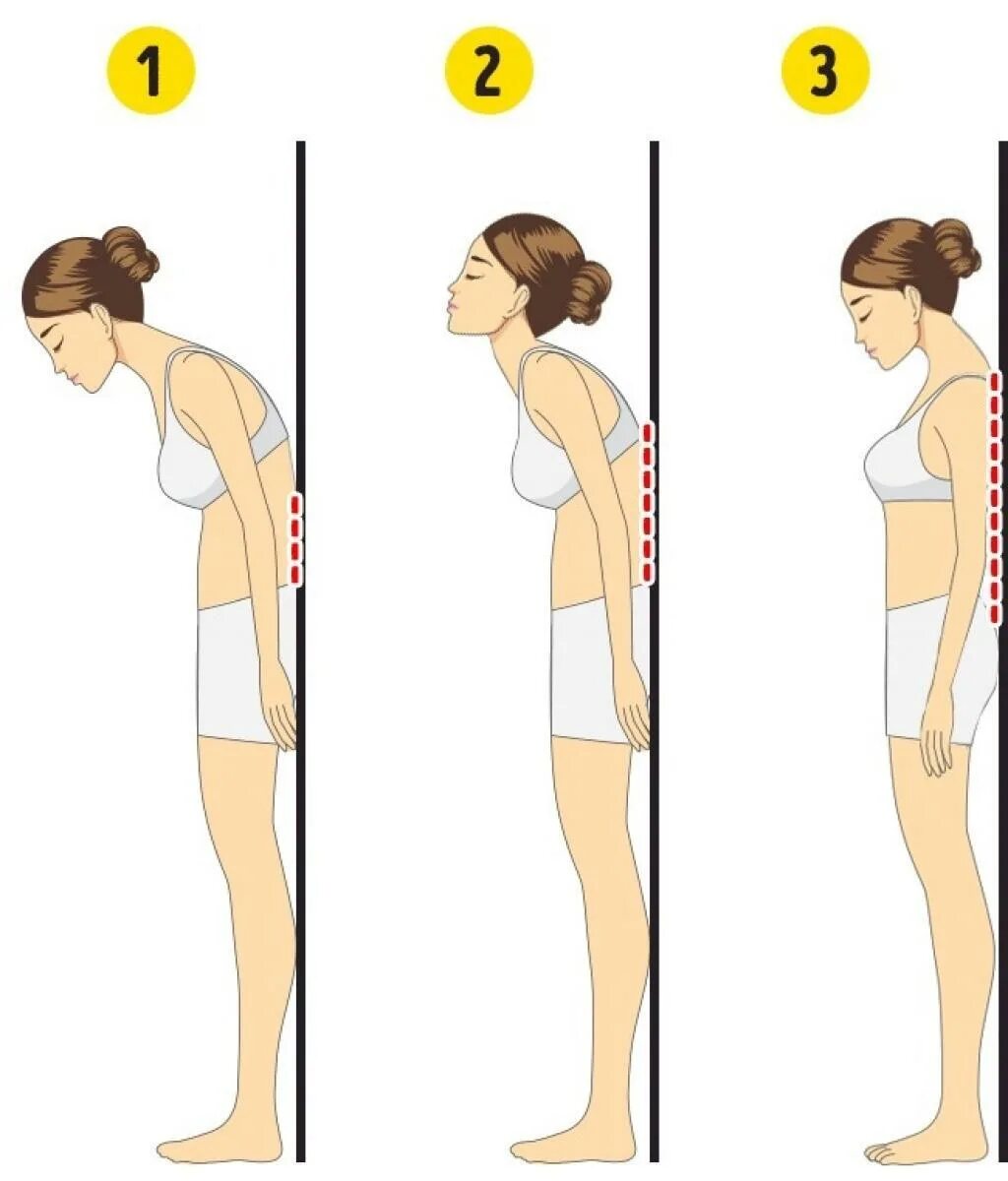 Как исправить поясницу. Упражнения для выправления осанки. Упражнения для сутулых. Упражнения для осанки спины. Упражнения для сутулых плеч.