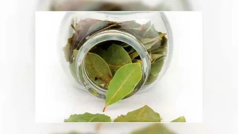 Лавровый лист при сахарном диабете 2