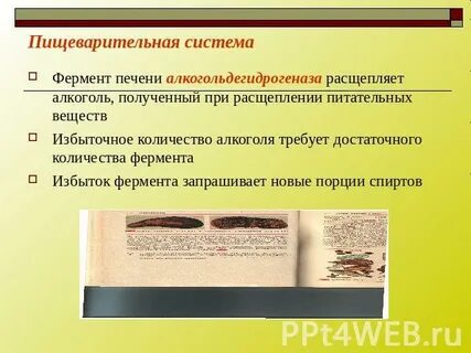 Повышен печеночный фермент что это