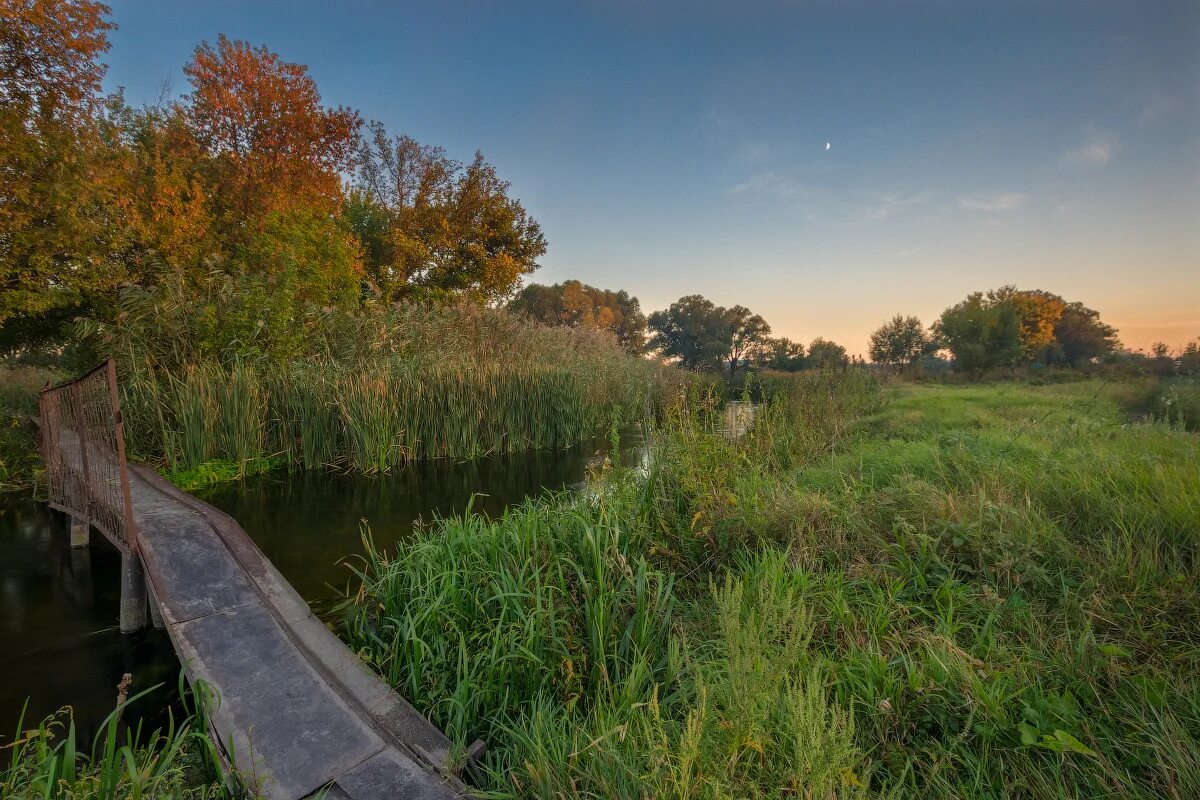 стояла тихая сосна