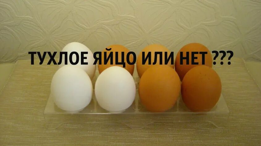 Тухлое ли яйцо. Определить свежесть яиц. Как понять тухлое яйцо или нет. Как проверить тухлое яйцо или нет. Как определить протухшее яйцо или нет.