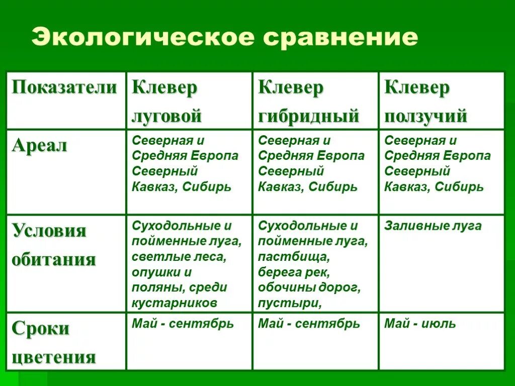 Черты различия клевера ползучего и клевера. Род растения Клевер Луговой и Клевер ползучий. Клевер Луговой и Клевер ползучий таблица. Сходства клевера Лугового и клевера ползучего. Клевер ползучий и Клевер Луговой сравнение.