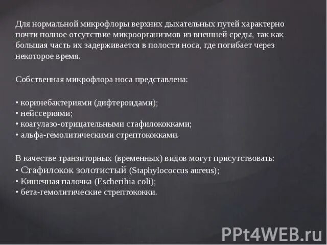 Микрофлора дыхательных путей. Нормальная микрофлора вдп что это. нормальная микрофлора верхних дыхательных путей. нормальная микрофлора нос полости. нормальная микрофлора верхних дых путей.