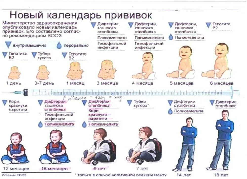 Ребенку плохо после прививки. Прививка по возрасту. полиомиелит график вакцинации. прививки календарь. гепатит прививка график.